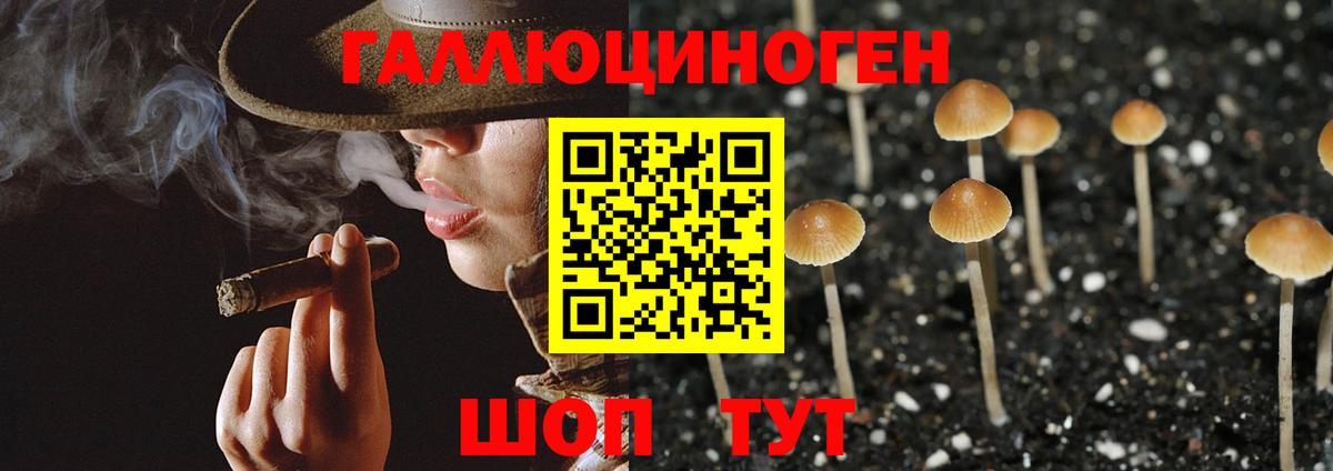Галлюциногенные грибы Cubensis  Вход с VPN  Десногорск 